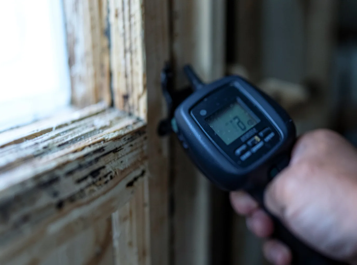 Moisture Inspection And Documentation in Tenakee Springs, AK